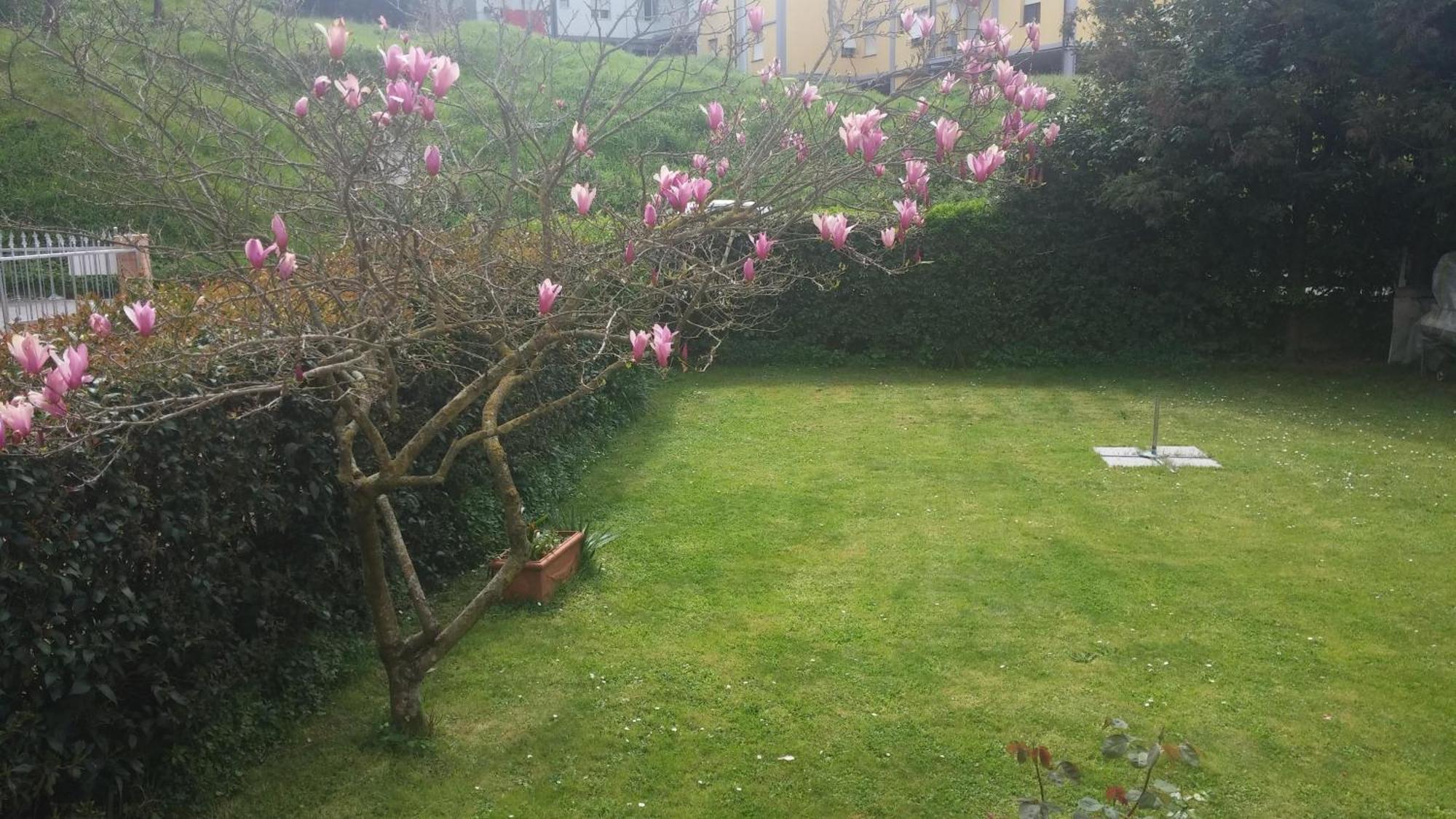 Appartement Casa Il Sogno à Vezzano Ligure Extérieur photo